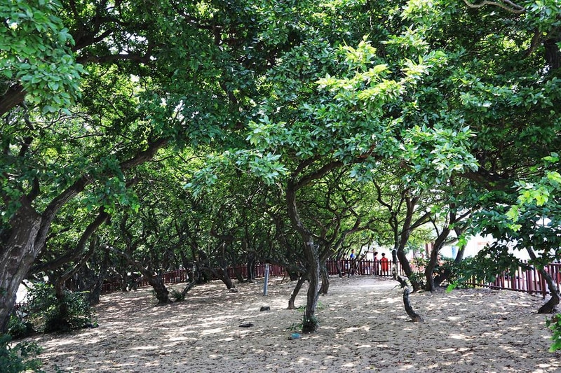 십리포해수욕장 야영장 시설 사진 14