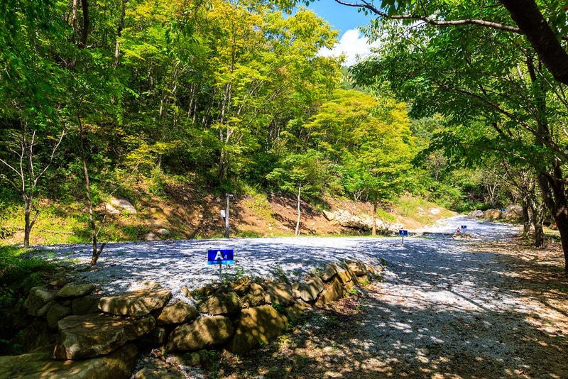 옥당걸숲속관광농원 시설 사진 12