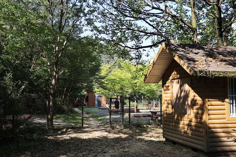 관악산 계곡 캠핑장 시설 사진 3