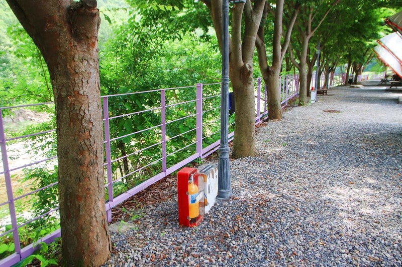 단양 글램핑&펜션 시설 사진 6