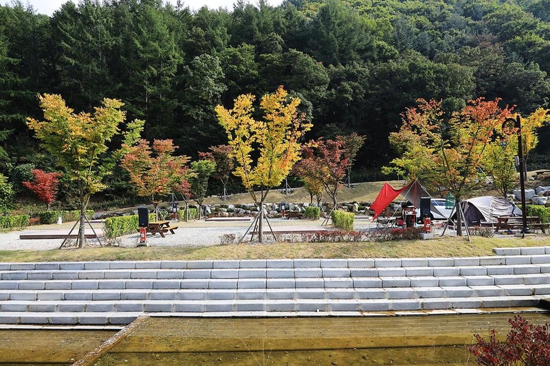 서운산 자연휴양림 자동차야영장 시설 사진 8