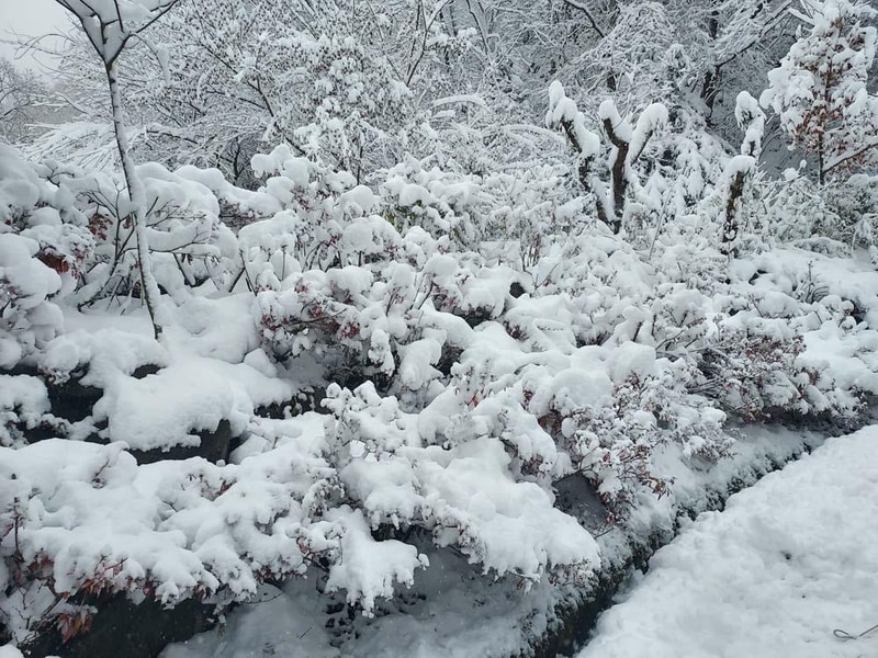 횡성산울림오토캠핑장 시설 사진 15