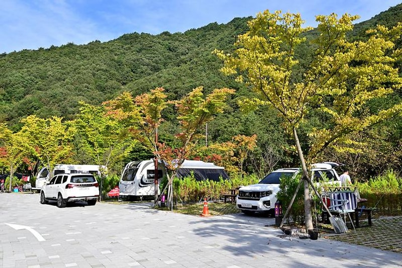 학천야영장 대표 사진