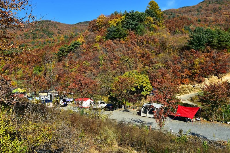 천문대 별빛정원 시설 사진 18