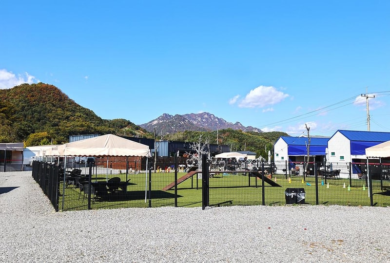 도그랜드 캠핑장 시설 사진 3