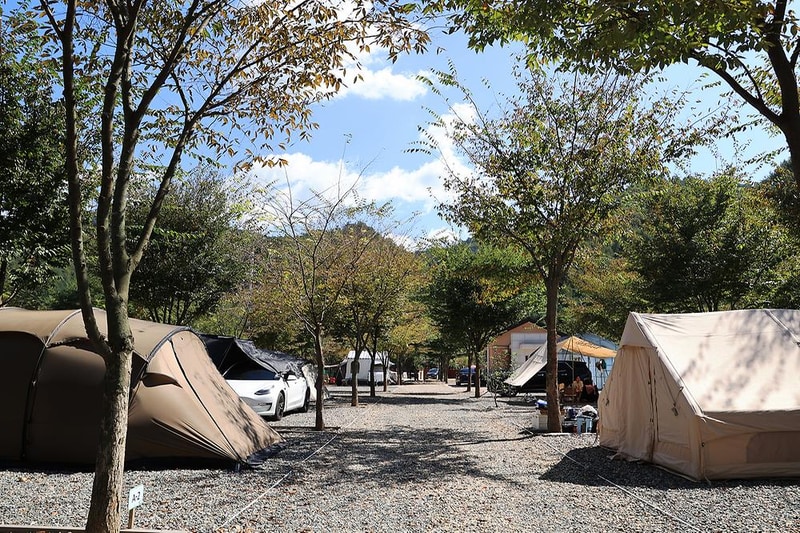 보랏빛오토캠핑장 시설 사진 2