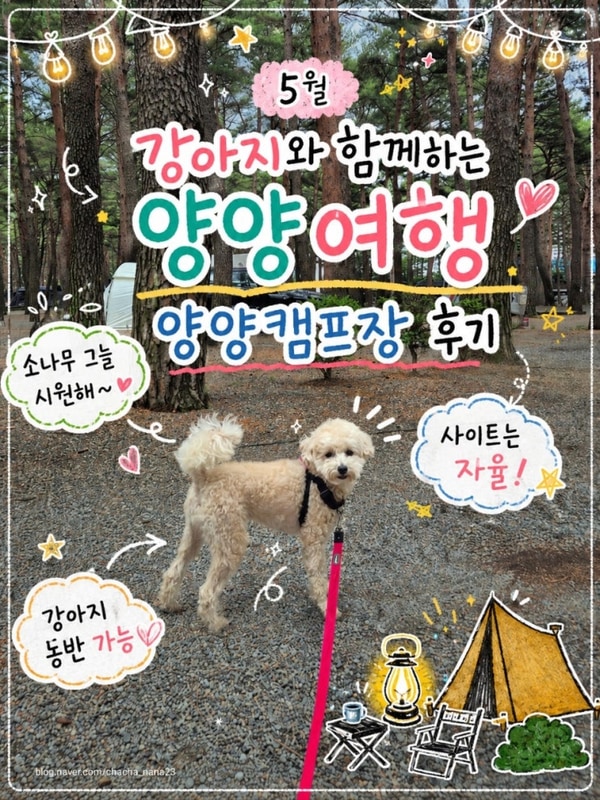 양양캠프장
