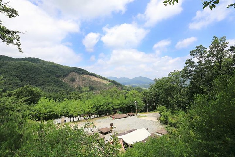 행복숲체험원 오토캠핑장 대표 사진