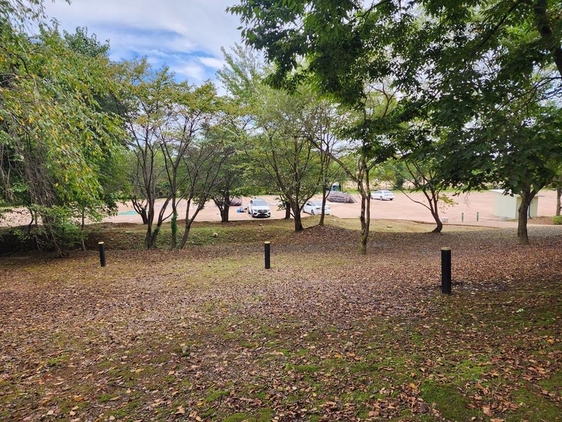 연천 전곡리유적 구석기 체험숲 시설 사진 9