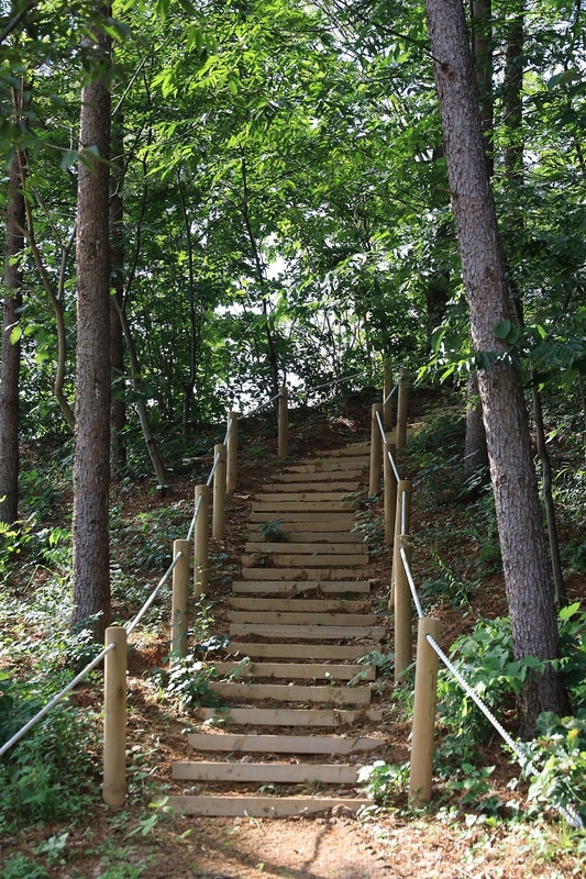 홍천강 자라바위 오토캠핑장 시설 사진 10