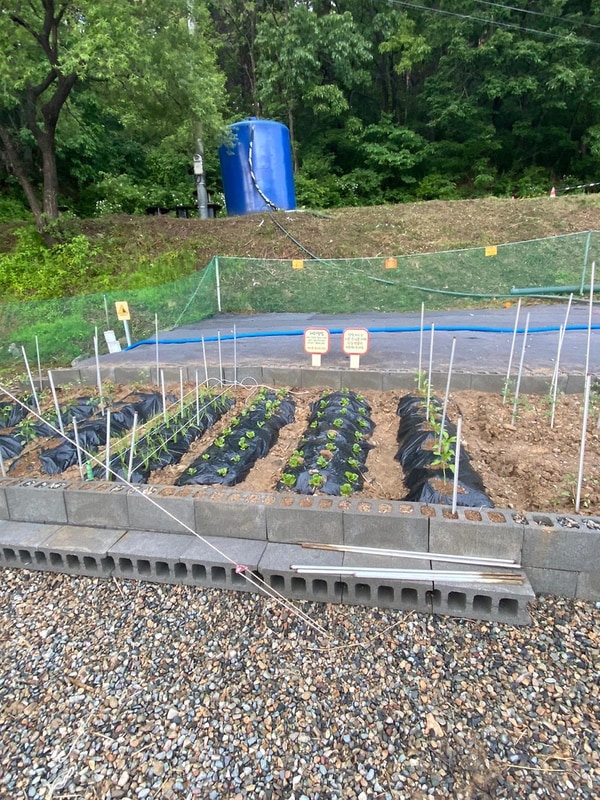 영덕 칠보산 오토캠핑장 시설 사진 32