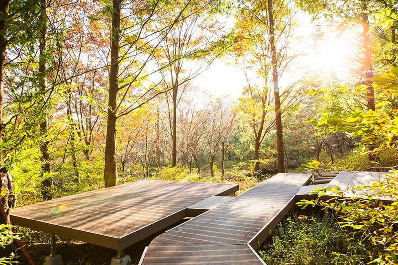 노꼬담꼬 시설 사진 29