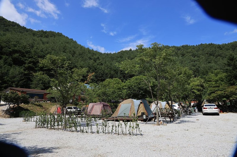 봉화솔향가득서울캠핑장 시설 사진 21