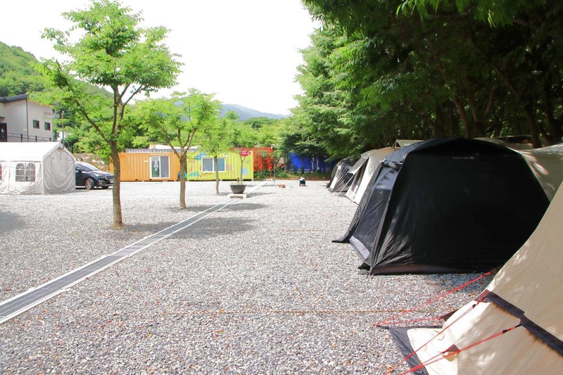 법흥계곡캠핑오늘 시설 사진 13