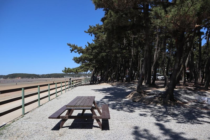 몽산포오토캠핑장 2구역 시설 사진 13