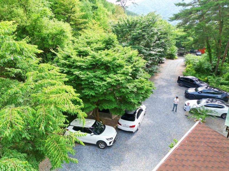 별빛캠핑장 시설 사진 23