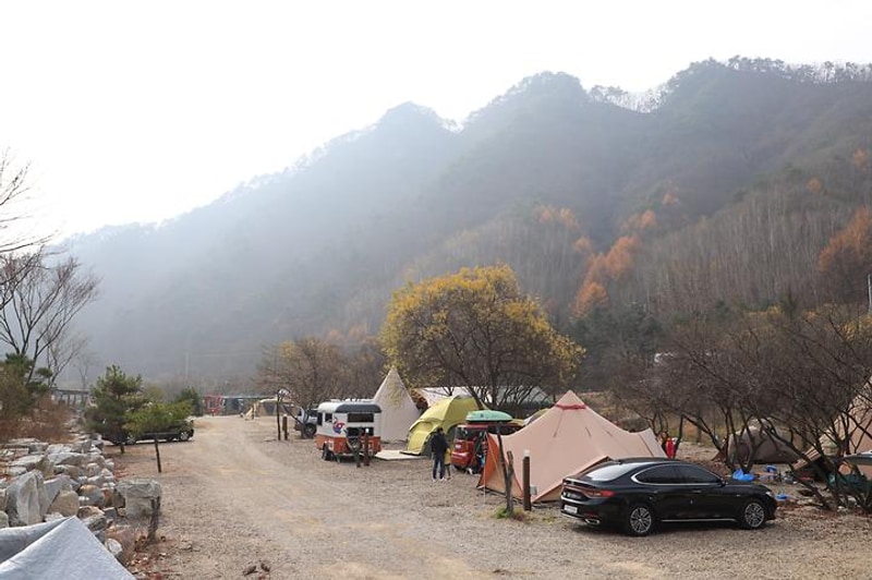 장터추어탕 캠핑장 대표 사진