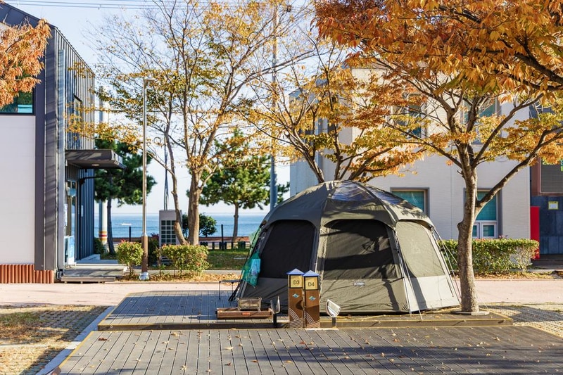 학동자동차 야영장 시설 사진 73