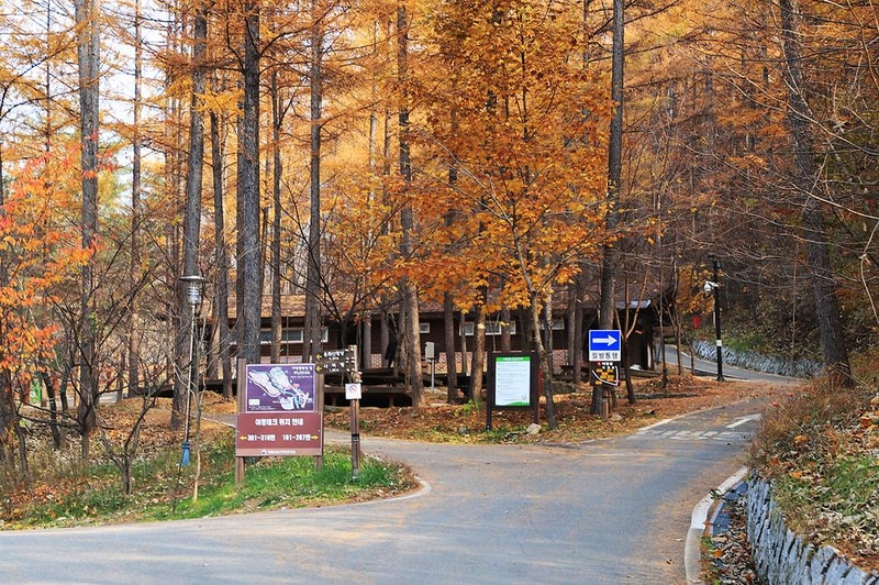 국립용화산자연휴양림 시설 사진 2