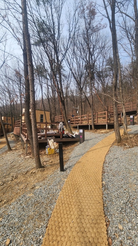 바라산자연휴양림 야영장 대표 사진