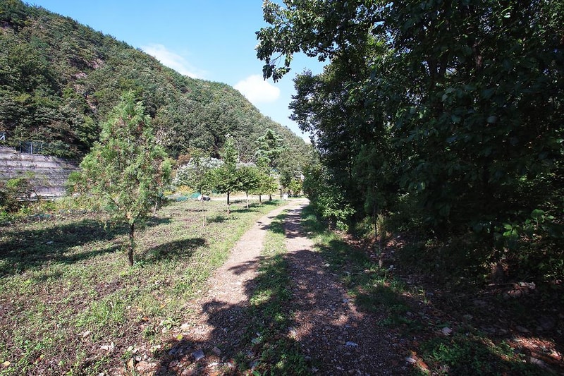 속리산알프스캠핑장&펜션 시설 사진 13