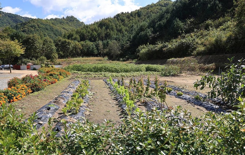 보랏빛오토캠핑장 시설 사진 8