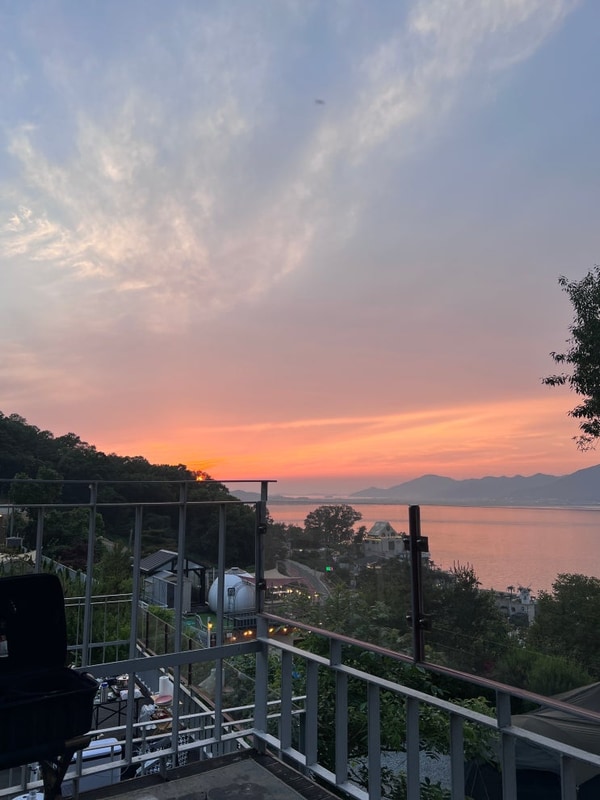 브라운