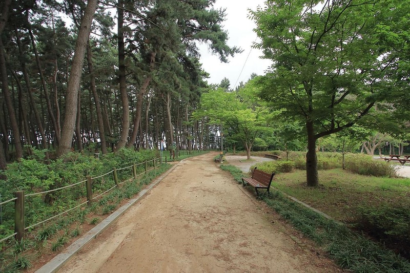 솔바람 캠핑장 시설 사진 3