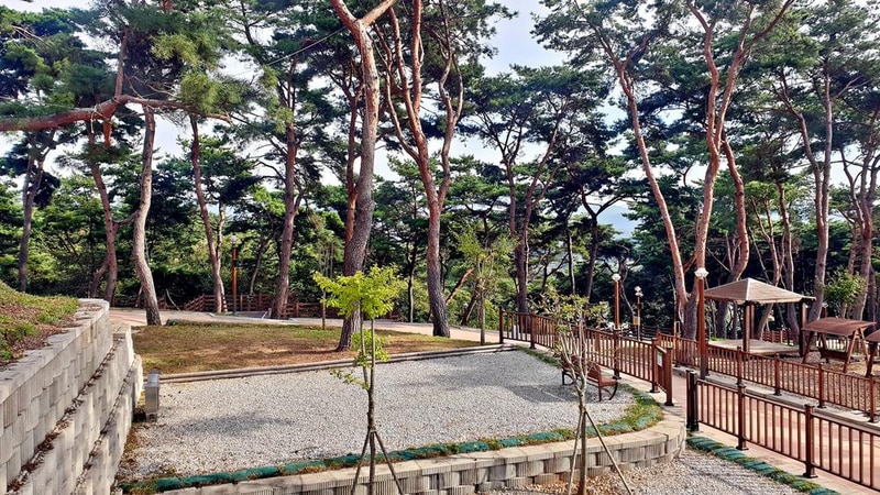 교룡공원 숲속야영장 시설 사진 45