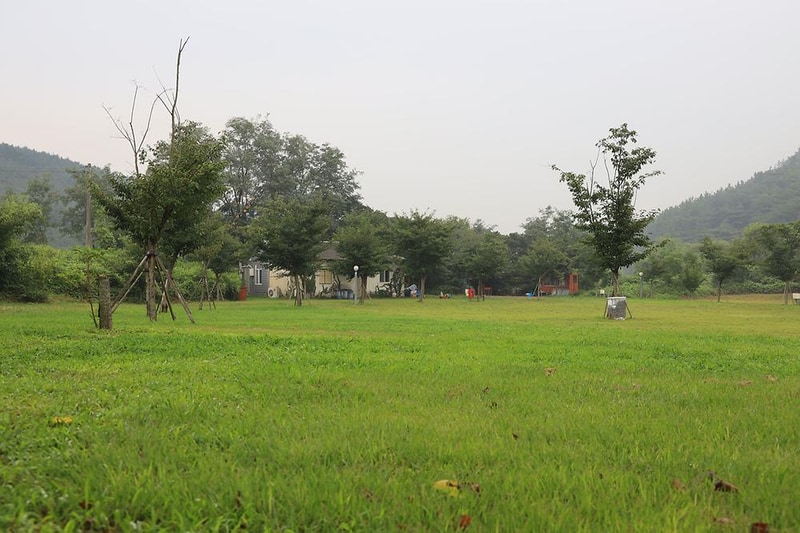 숲속의드림캠프야영장 시설 사진 5