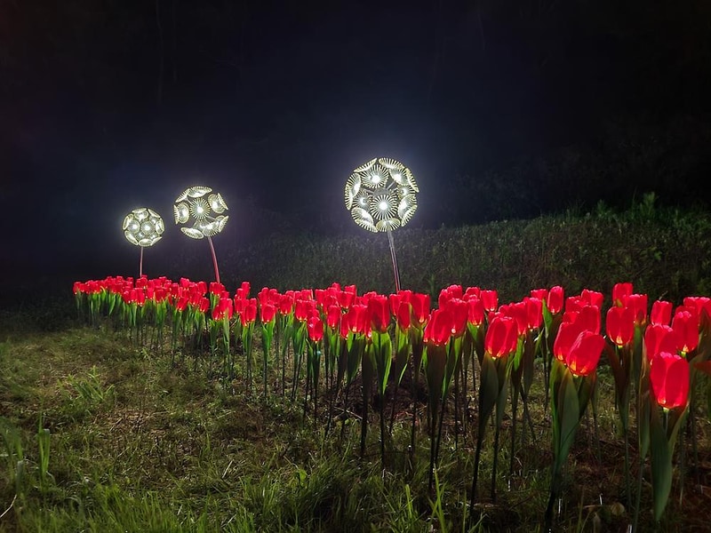 천지 글램핑 시설 사진 41