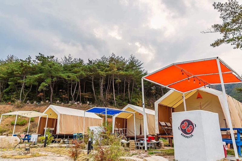 달빛오름 경주 시설 사진 31