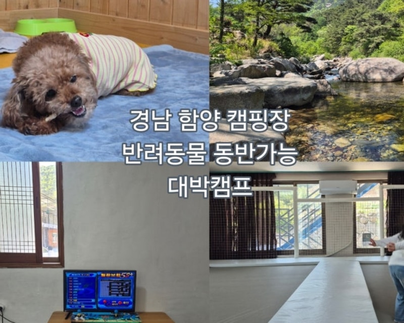 대박캠프 대표 사진