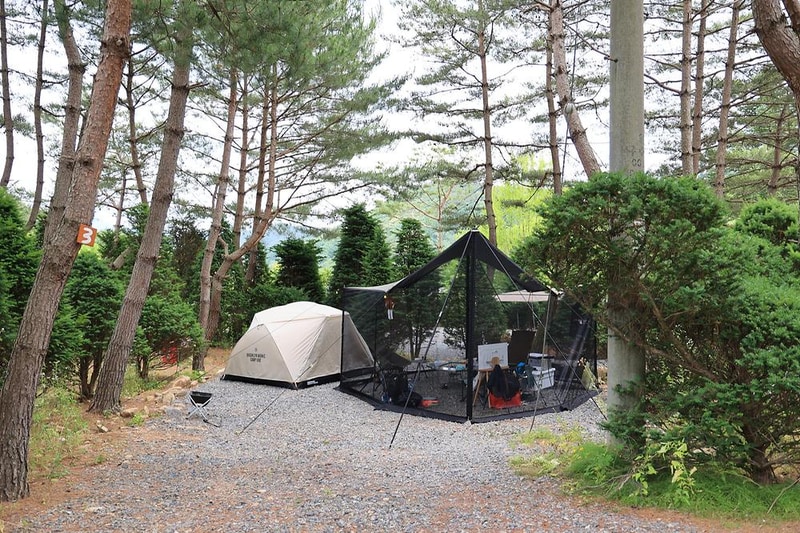 힐링인더 포레스트 시설 사진 7