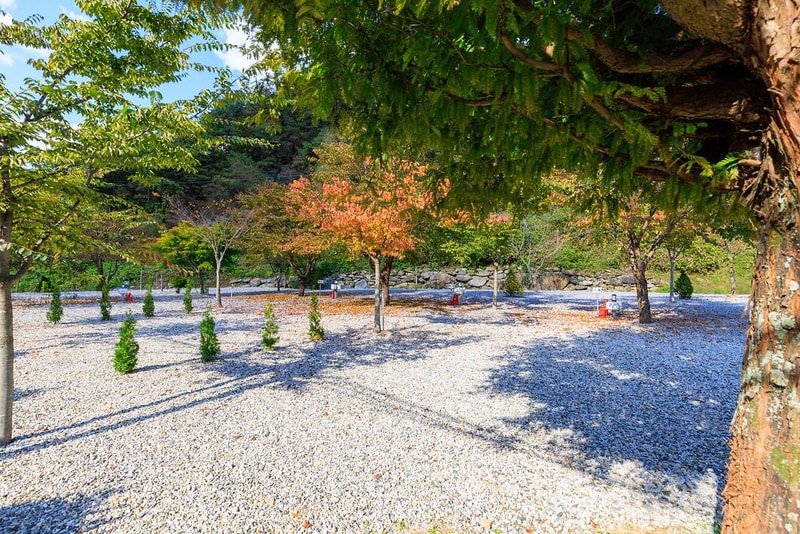 별하숲캠핑장 시설 사진 17