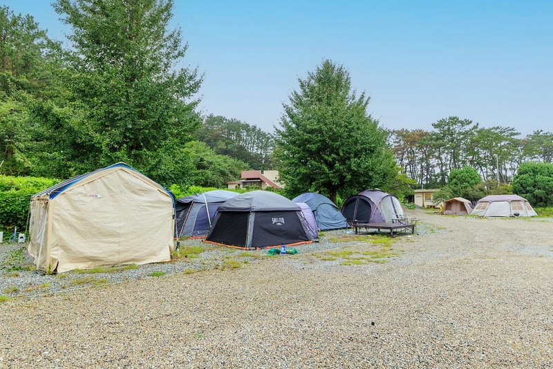 펜캠2495체험학교 시설 사진 13