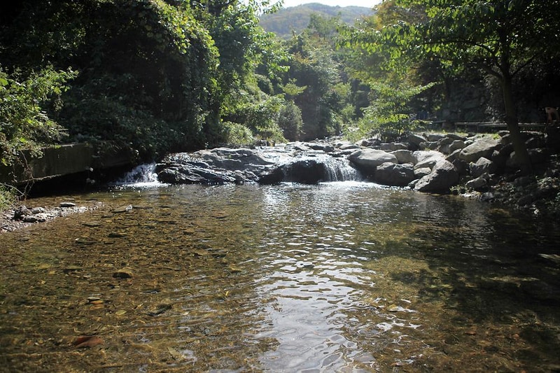 비타민 캠핑장 시설 사진 13