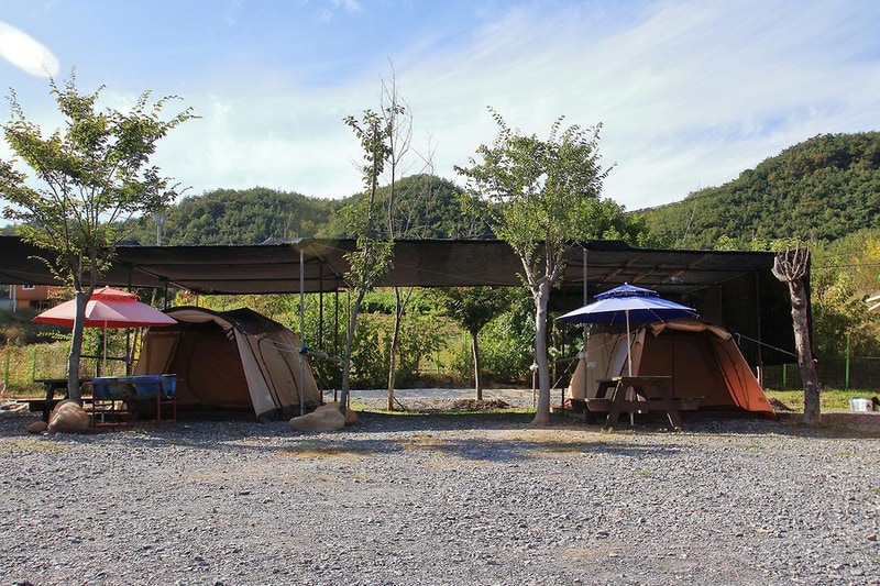 단양 무지개 오토캠핑장 시설 사진 20