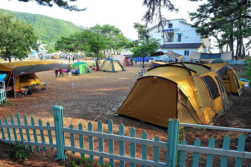 송정솔바람야영장 시설 사진 14