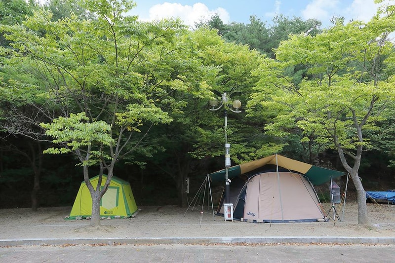 운문산군립공원 소머리 야영장 시설 사진 12