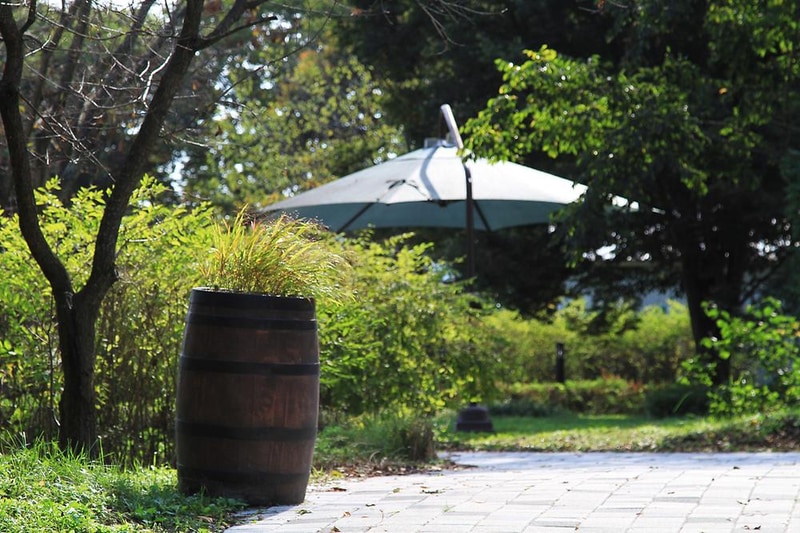 송호국민관광지 야영장 시설 사진 9