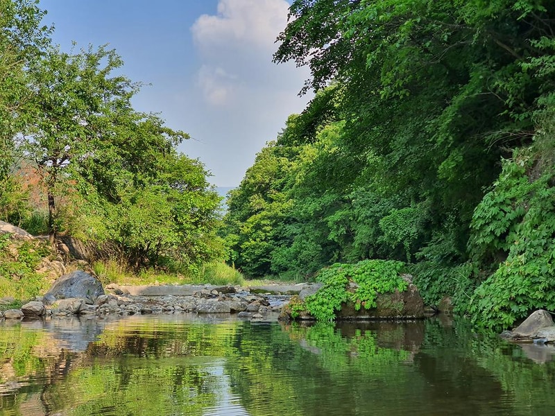 포레스트힐링캠프 시설 사진 38