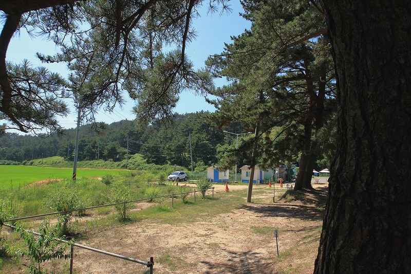 이태백 야영장 시설 사진 6