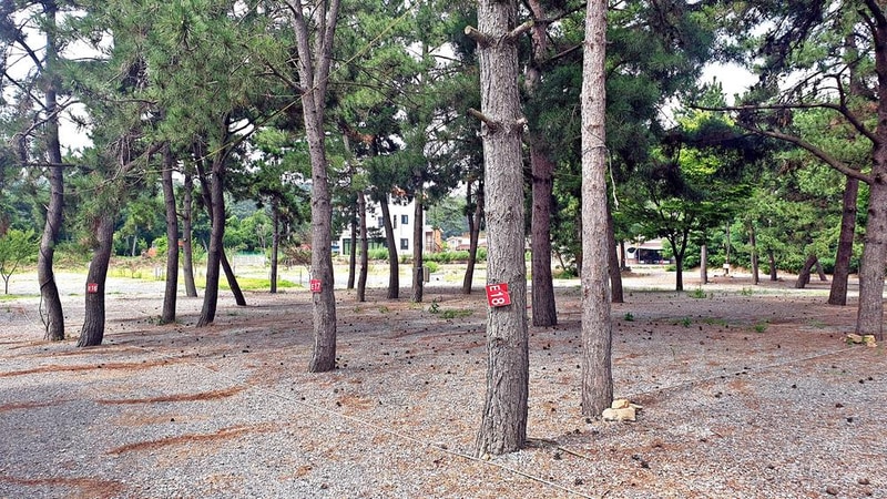 어은돌야영장 시설 사진 17