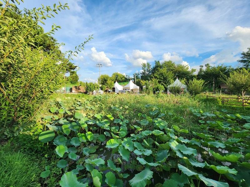 구리 토평 가족캠핑장 시설 사진 26