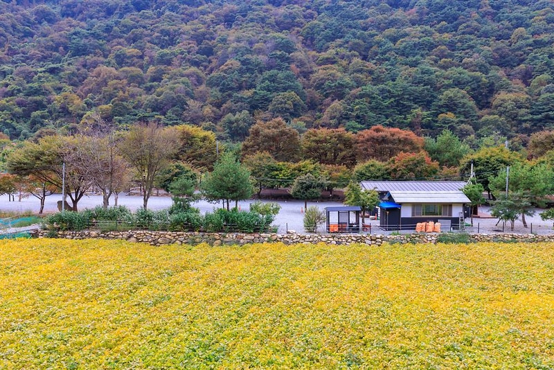 포레스트캐빈앤캠프 시설 사진 9