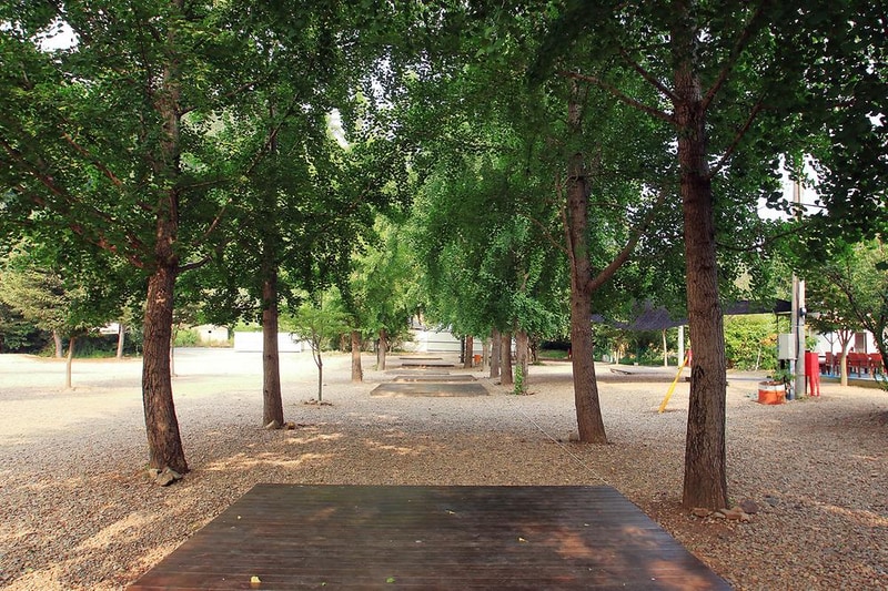 늘푸른 체험학교 시설 사진 2