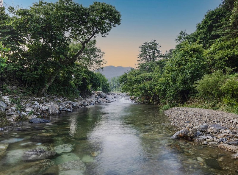 양평힐링계곡 오토캠핑장 시설 사진 4