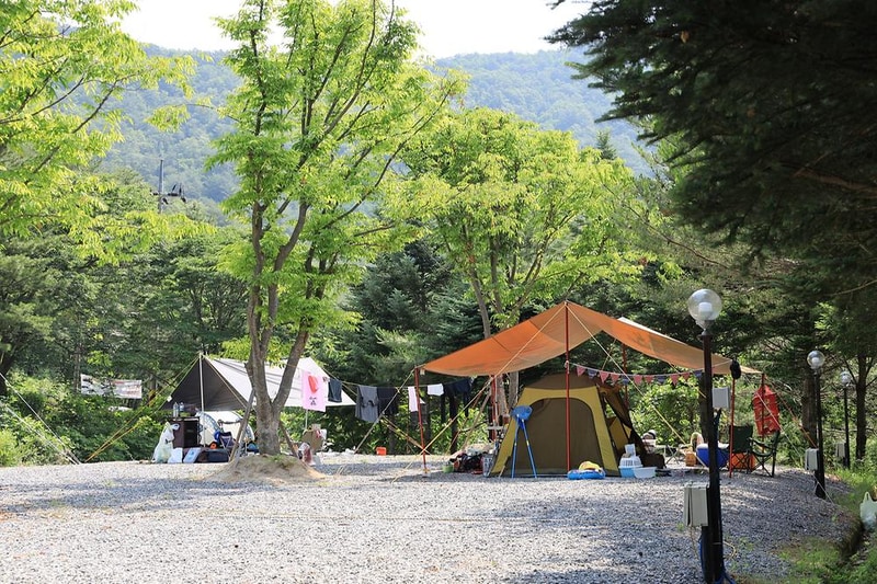 월드니스 시설 사진 11