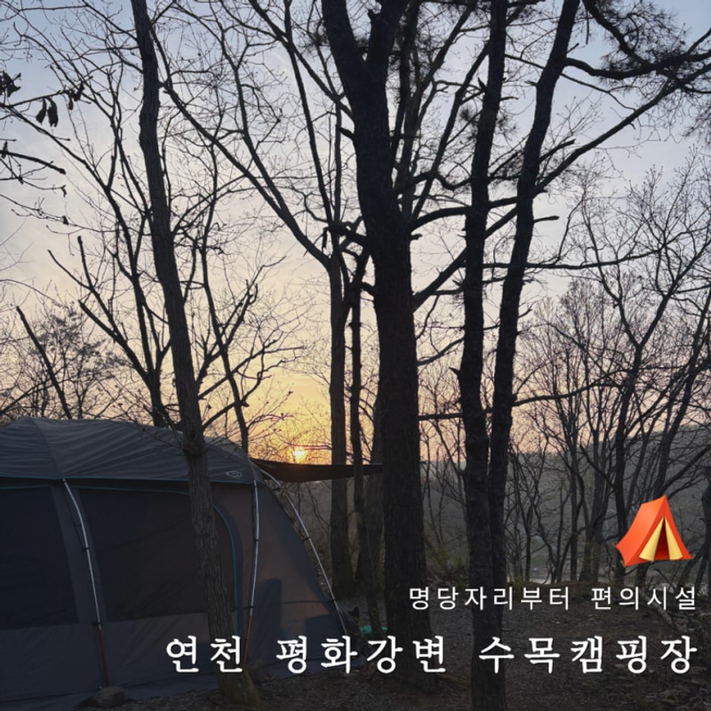 평화강변수목 캠핑장